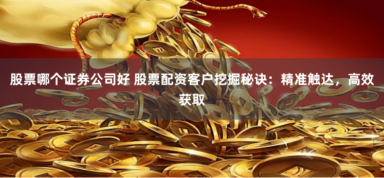 股票哪个证券公司好 股票配资客户挖掘秘诀：精准触达，高效获取