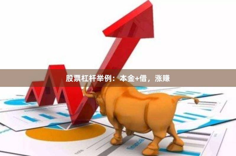 股票杠杆举例：本金+借，涨赚